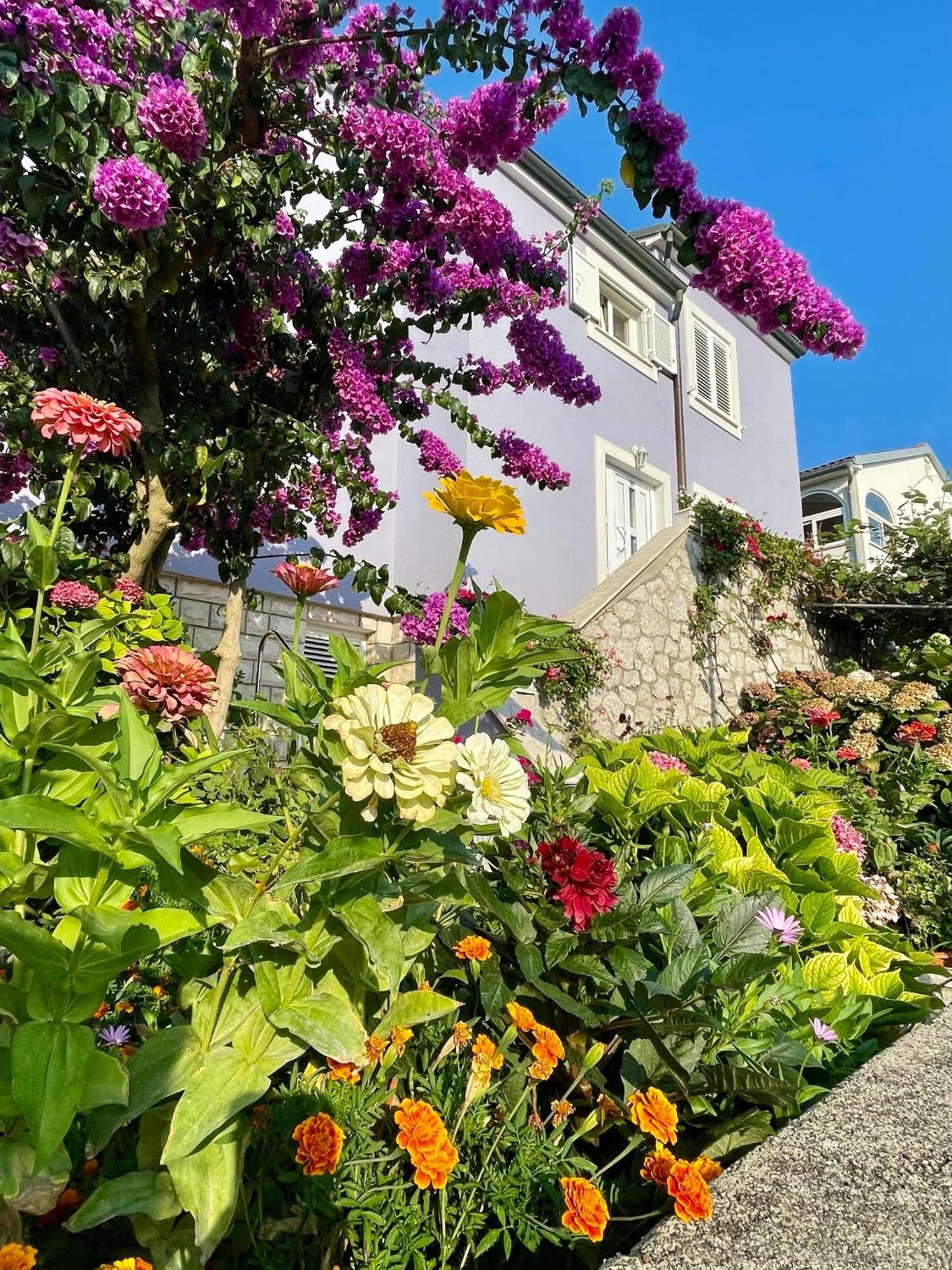 Millefiori - Apartment Mali Losinj