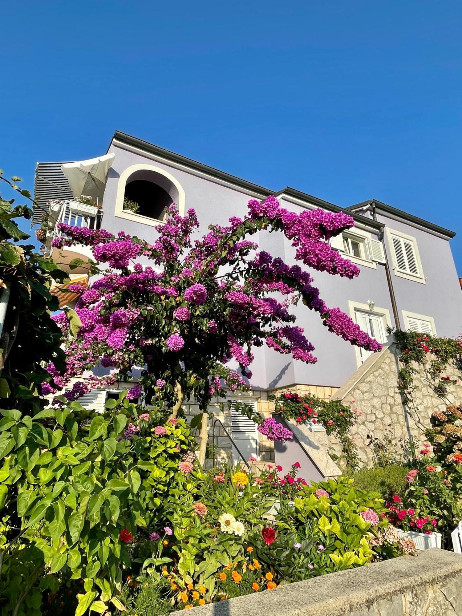 Millefiori - Mali Losinj