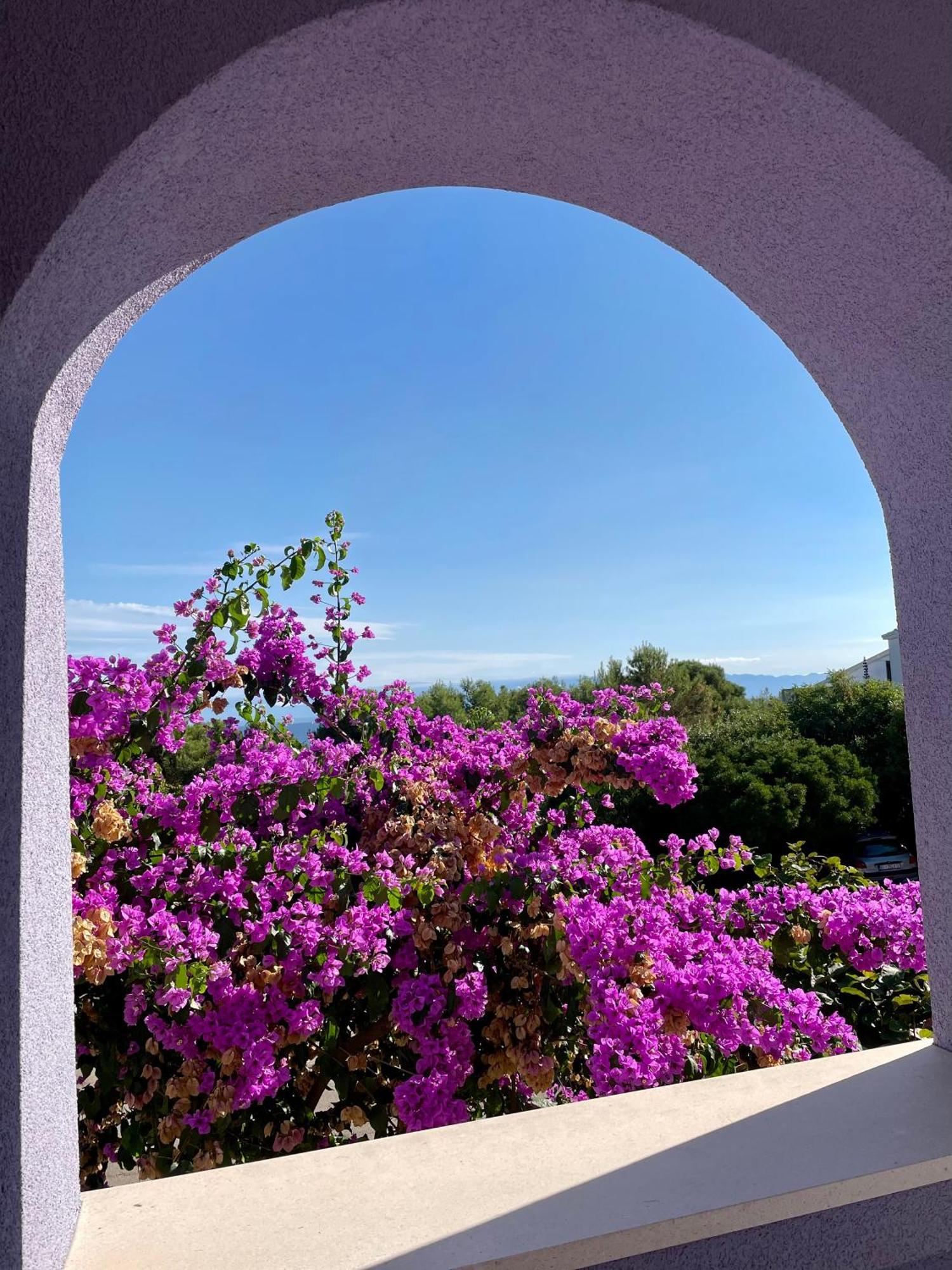 Apartment Millefiori - *