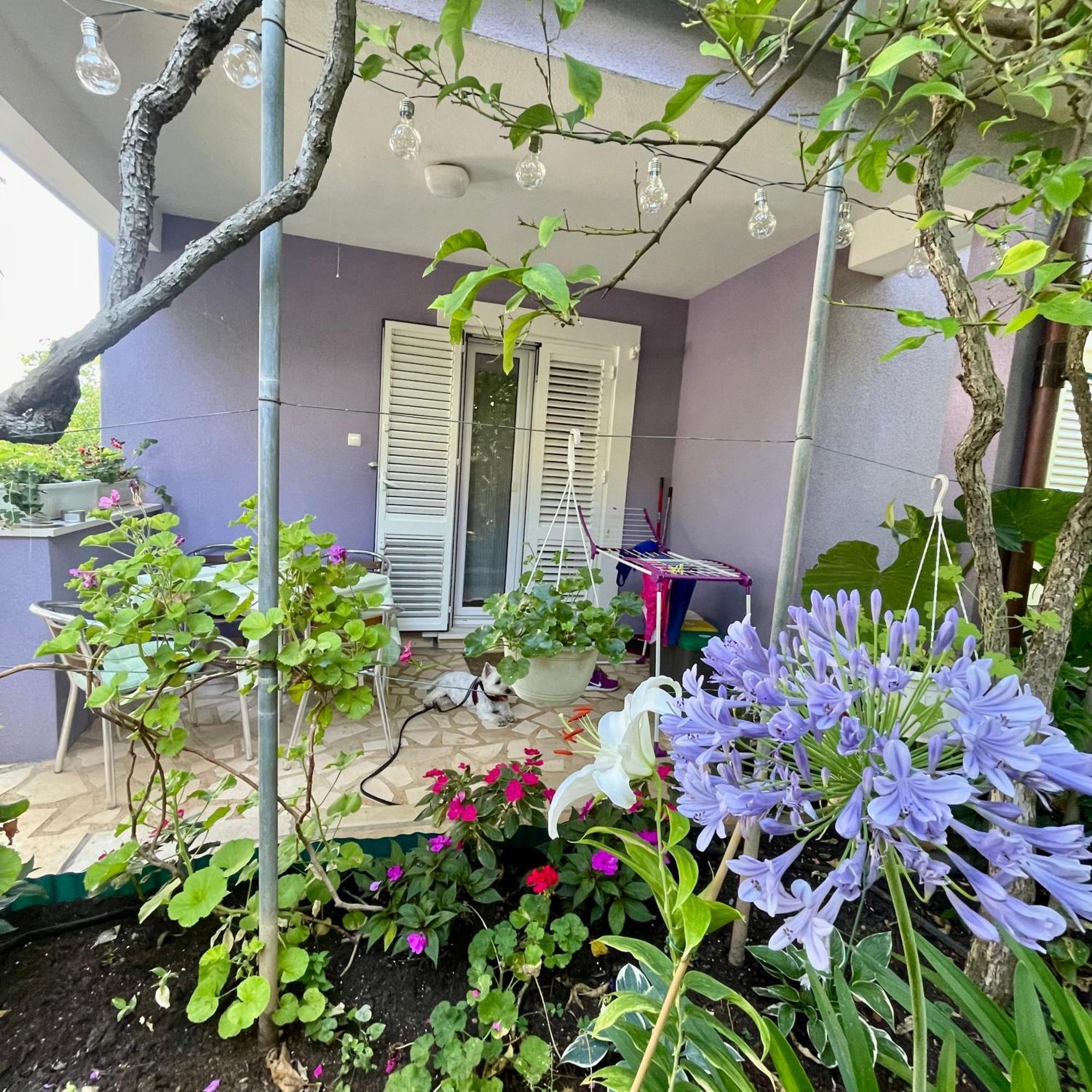 Apartment Millefiori - Mali Losinj